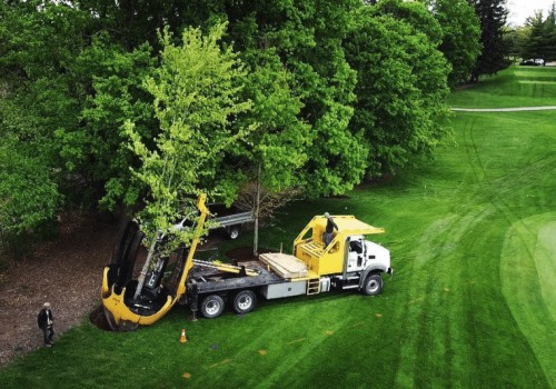 Enhance Property Value with Tree Maintenance & Appliance Hauling