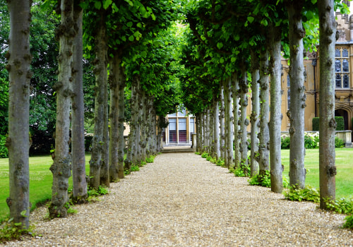 Enhance Your Portland Property with Expert Landscaping