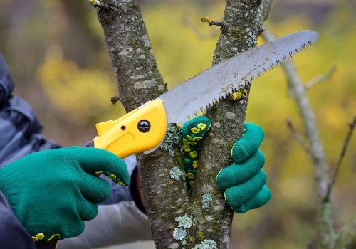 Essential Tools and Equipment for Effective Tree Maintenance in Real Estate