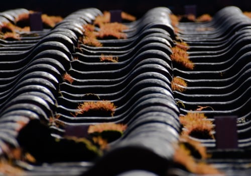 Protect Your Home with Tree Maintenance and Roof Installation