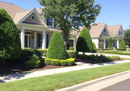 Enhance Property Value with Strategic Tree Maintenance