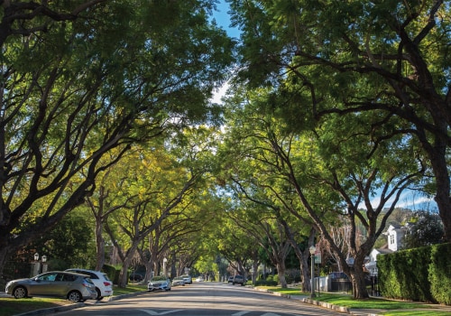 The Critical Role of Tree Maintenance in Enhancing Real Estate Value