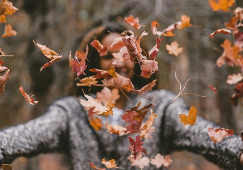 Essential Tree Maintenance Tips for Real Estate Assets Throughout the Seasons