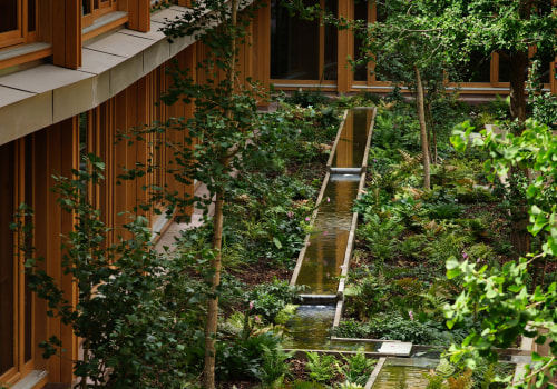 Tree Care Planning for Real Estate Assets and Property Turnovers