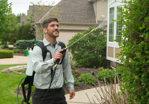 Essential Tree Maintenance Tips for Real Estate Assets: Avoiding Common Pitfalls