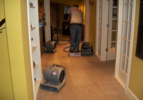 Protecting Properties in Tri-Cities, WA: From Tree Maintenance for Real Estate Assets to Reliable Water Damage Restoration Services